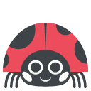 lady beetle